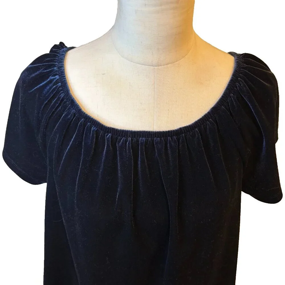 GAP Blue Velvet Short Sleeve Top Blouse Women’s Size Large - Picture 3 of 9
